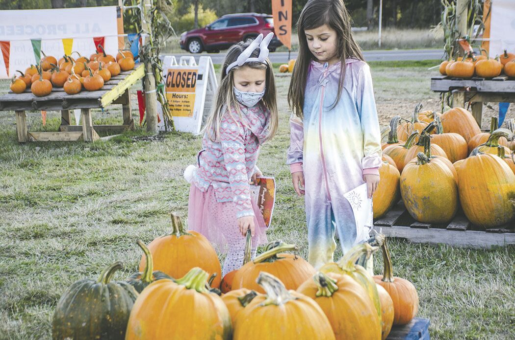 201015.news.pumpkinpatch.er2.jpg
